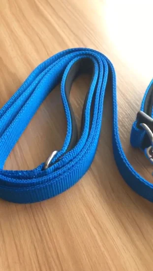 ISO-zugelassene, werkseitig angebotene robuste Halsband-Leinen-Sets für große Hunde mit zwei D-Ringen